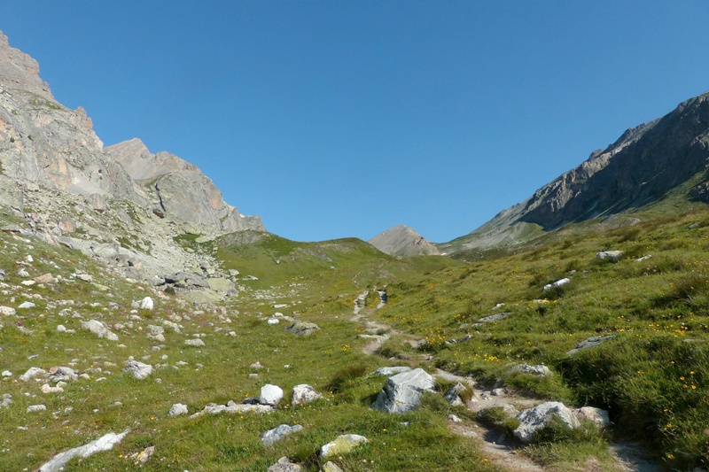 Nigritella corneliana nella splendida e selvaggia Val Maira (CN) luglio 2024.